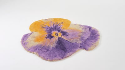 PANSY 2